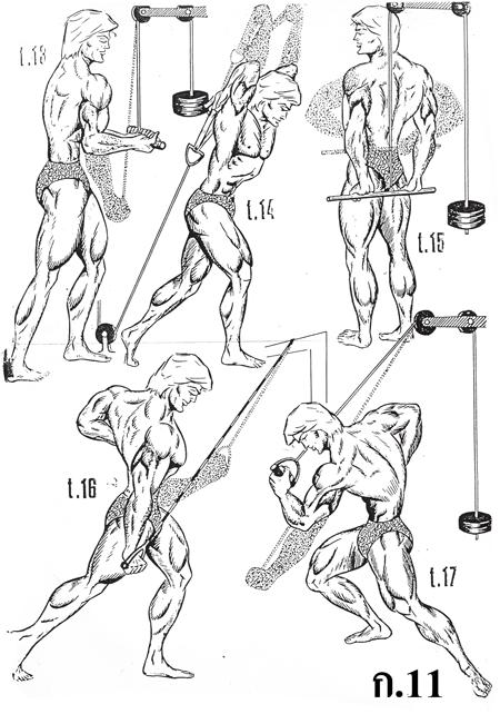 b11.jpg
