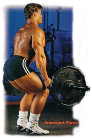 backb3a.jpg