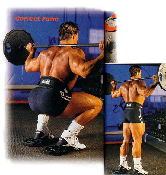 backb4a.jpg