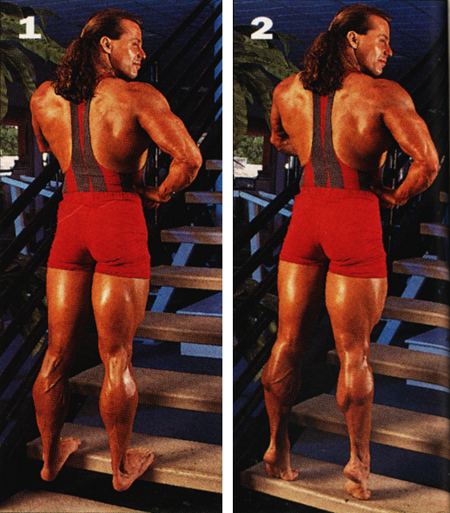 calf31.jpg