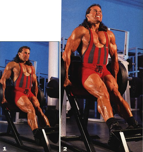 calf51.jpg