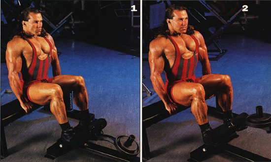 calf53.jpg