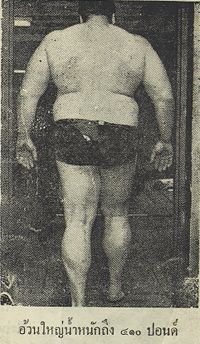 fat1.jpg