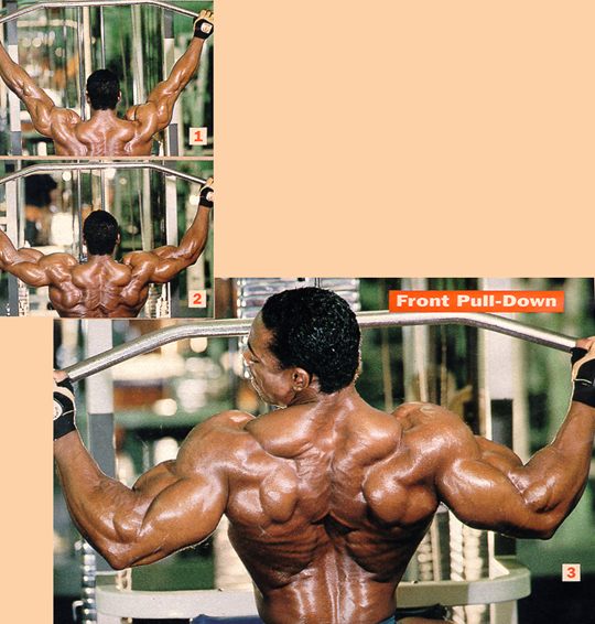 latflex32.jpg