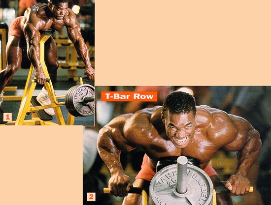 latflex41.jpg