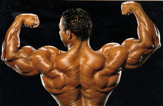 latflex42.jpg