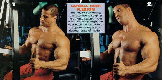 neck32.jpg