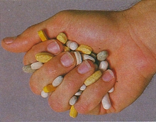 ����������